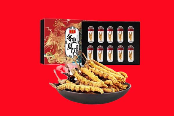 沧州孟村县回收虫草.jpg
